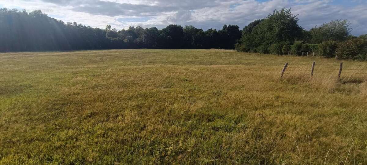 Terrain à LUXEUIL-LES-BAINS