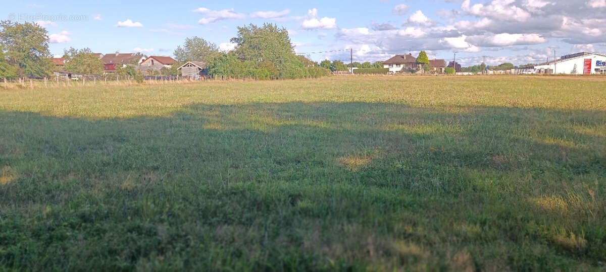Terrain à LUXEUIL-LES-BAINS