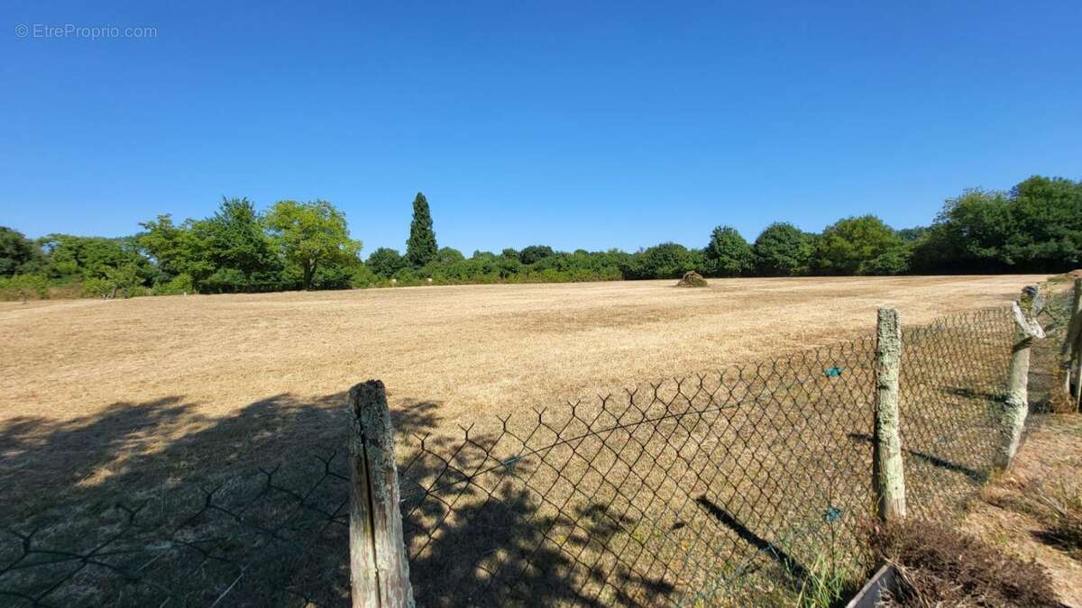 Maison à SAINT-LAURENT-DES-HOMMES