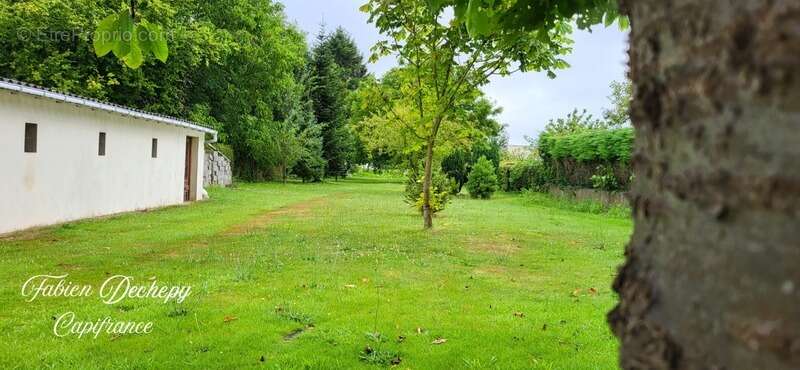 Maison à FRIVILLE-ESCARBOTIN