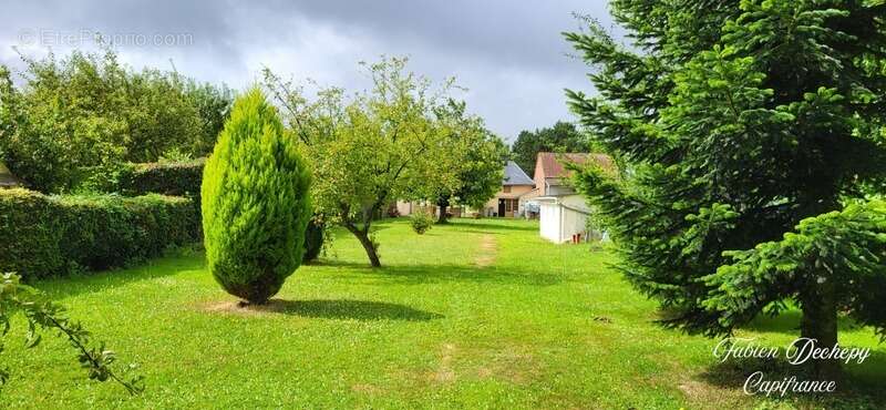 Maison à FRIVILLE-ESCARBOTIN