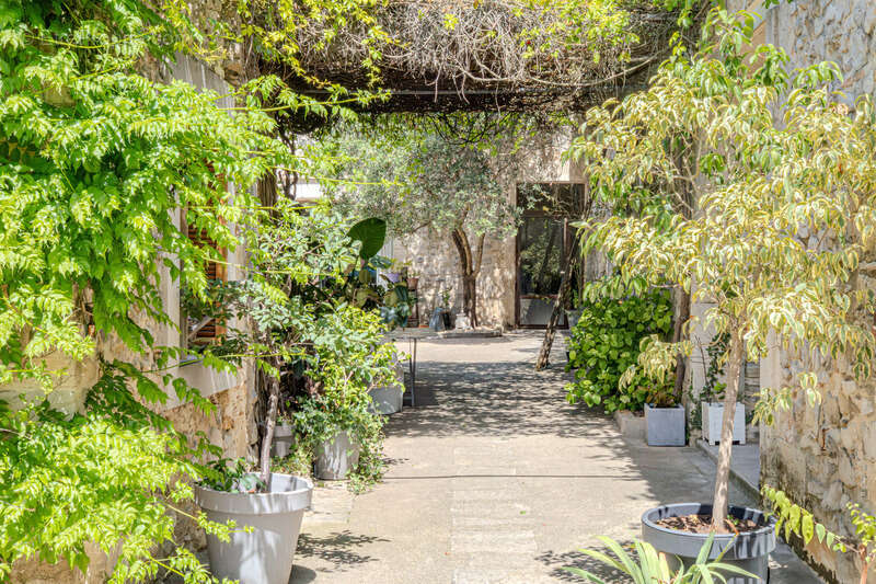 Maison à MONTPELLIER