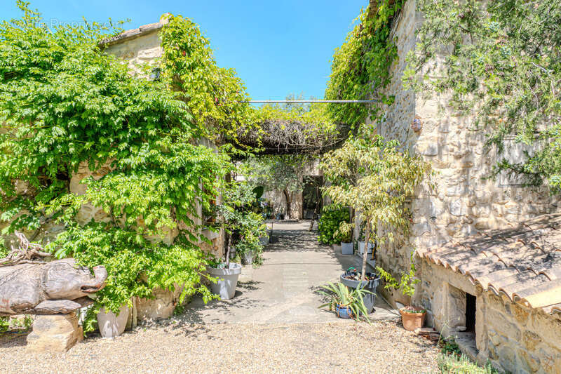 Maison à MONTPELLIER