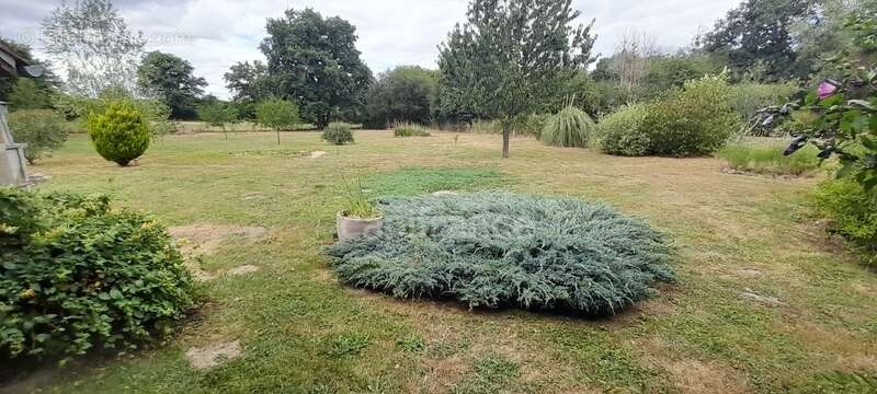 Maison à BUXIERES-LES-MINES