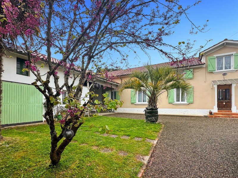 Maison à LADEVEZE-RIVIERE