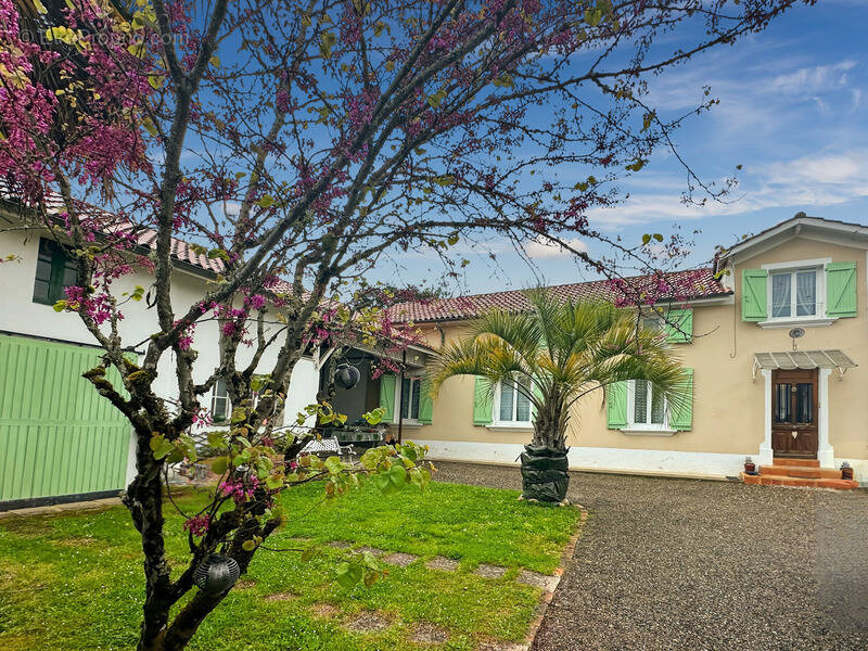 Maison à LADEVEZE-RIVIERE