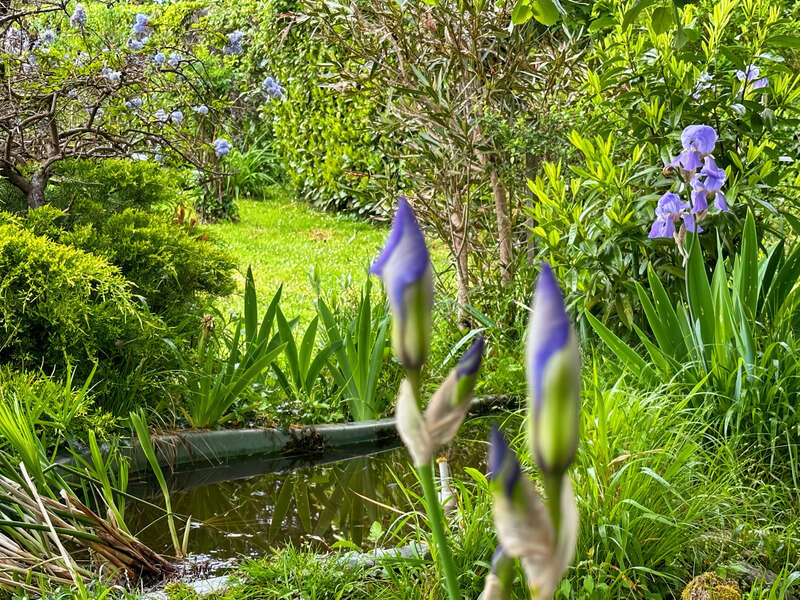 Maison à LADEVEZE-RIVIERE