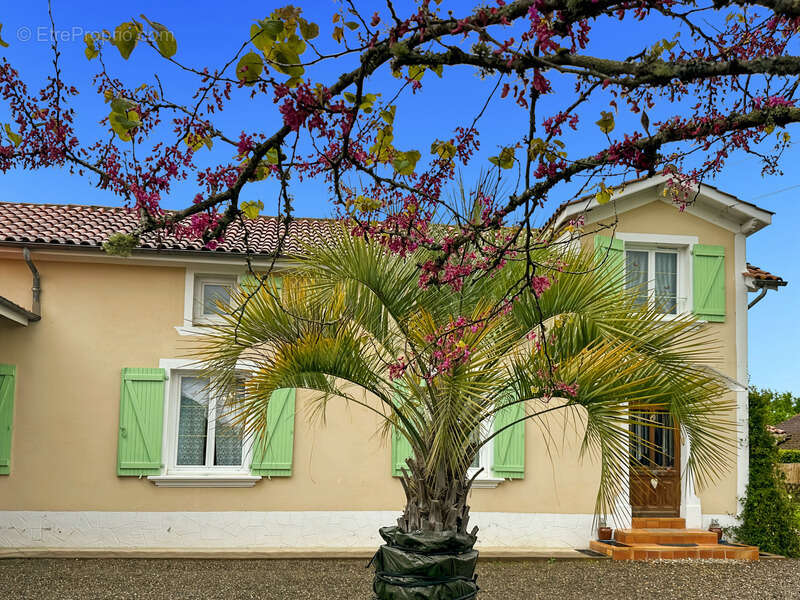 Maison à LADEVEZE-RIVIERE