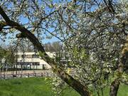 Maison à SARTROUVILLE