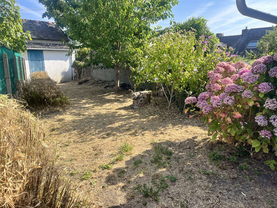 Maison à ILE-D&#039;ARZ