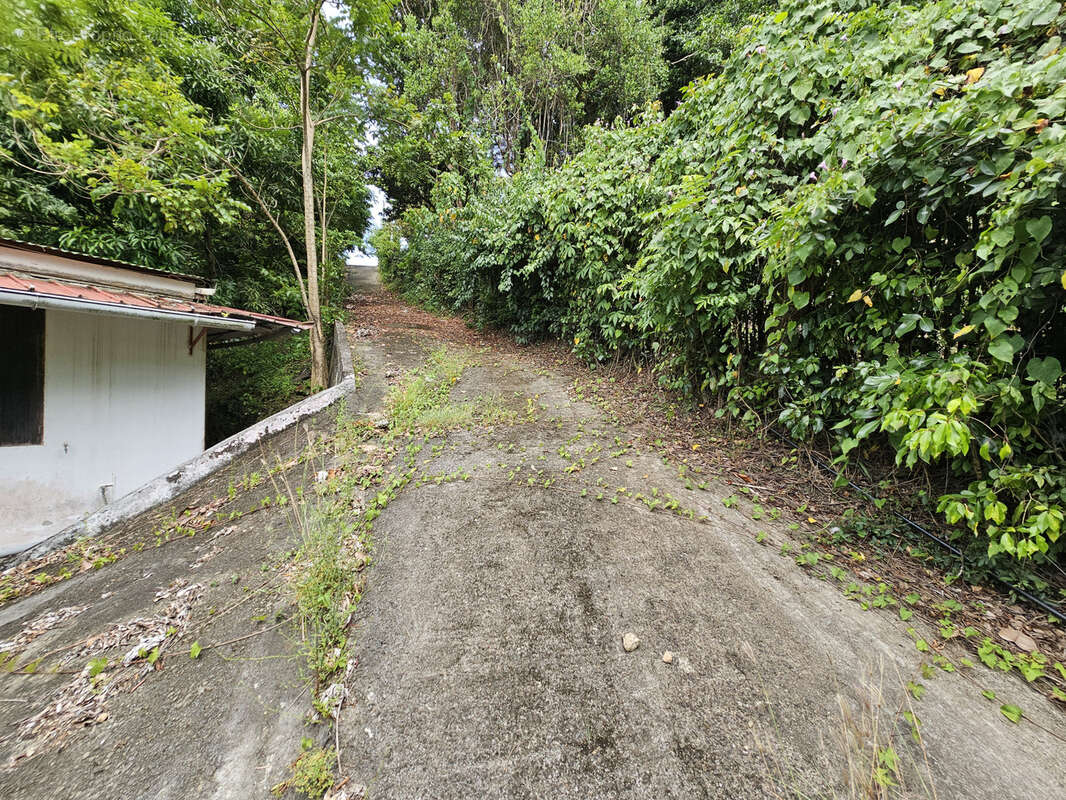 Terrain à SCHOELCHER