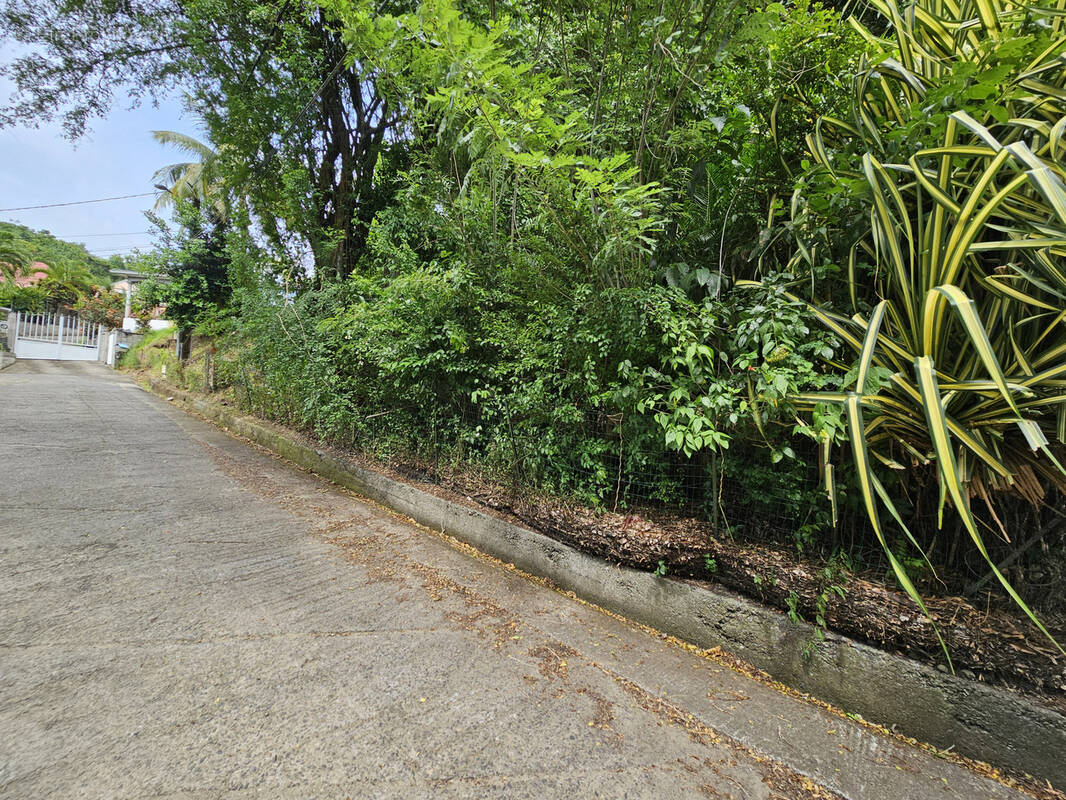 Terrain à SCHOELCHER