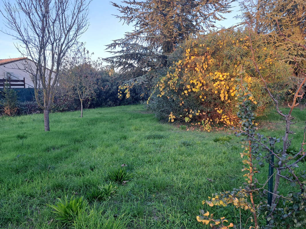 Terrain à MARSILLARGUES