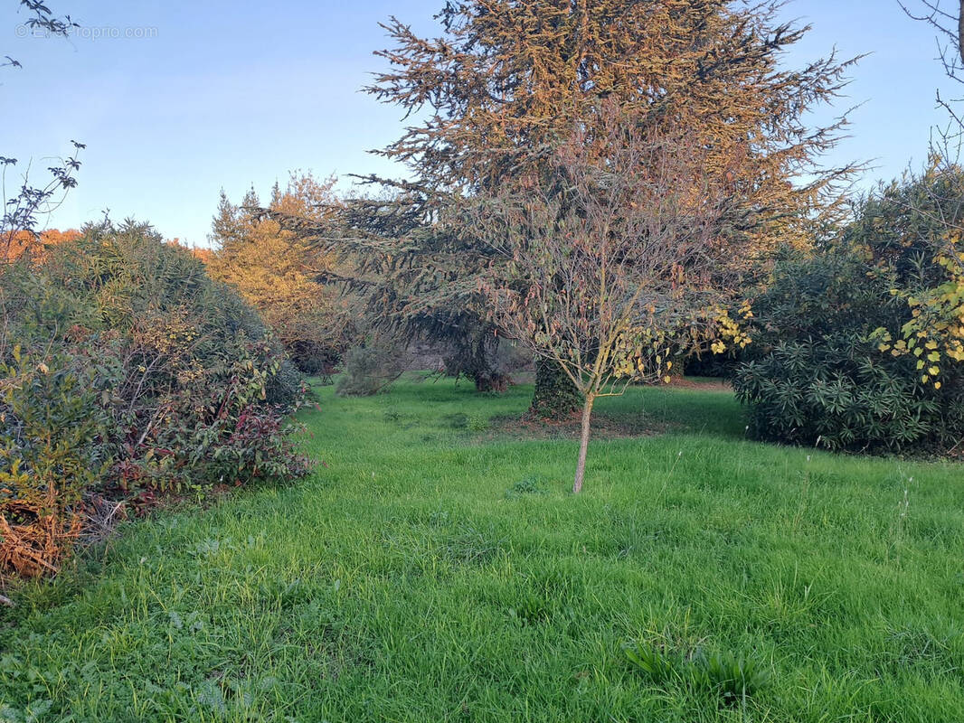 Terrain à MARSILLARGUES