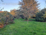 Terrain à MARSILLARGUES