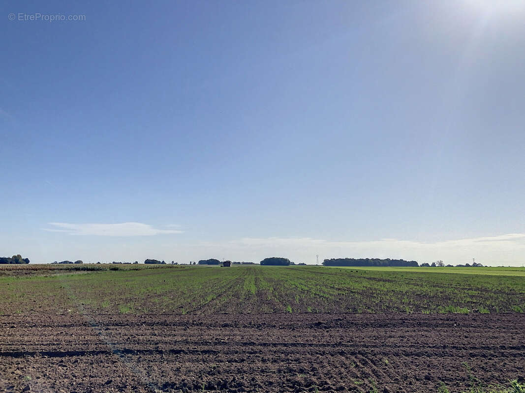 Maison à FEUQUIERES-EN-VIMEU