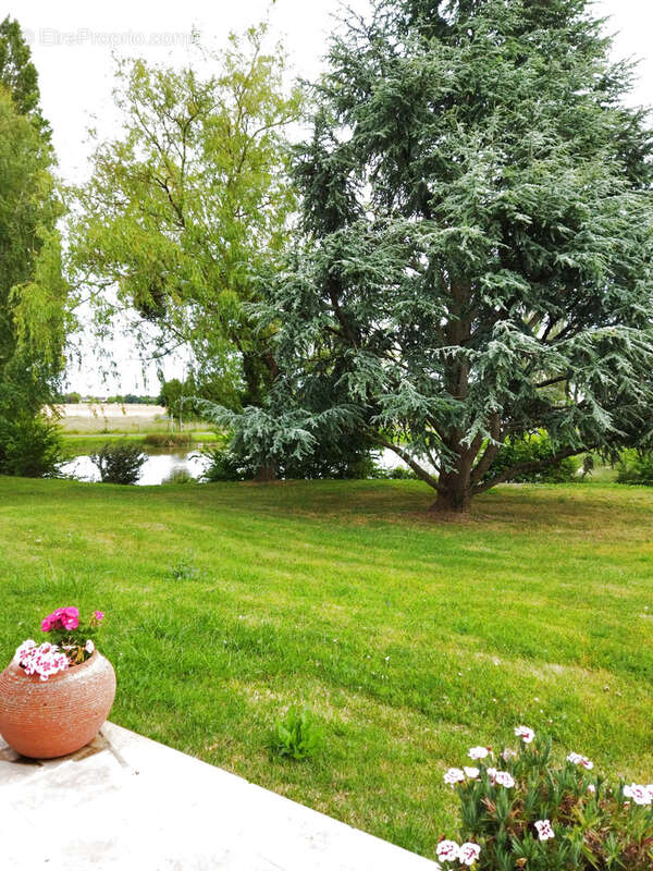 Maison à MARCHENOIR