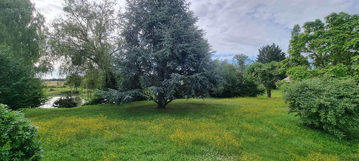 Maison à MARCHENOIR