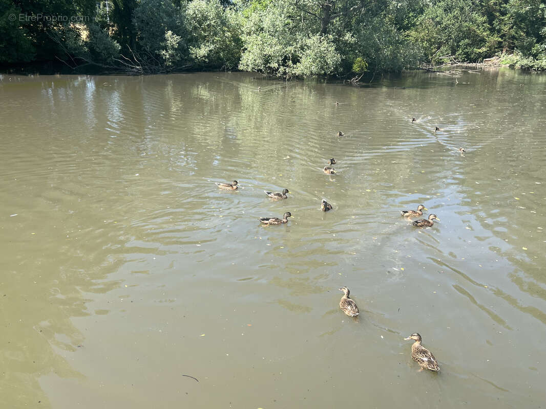Autre à COULANGES-LES-NEVERS