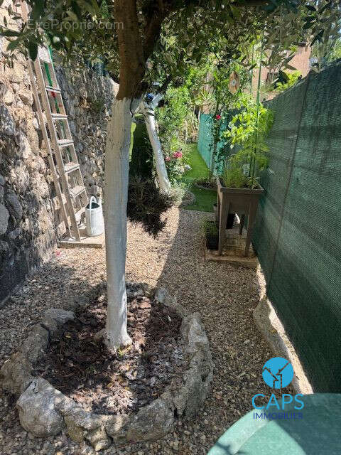 Maison à ROQUEBRUNE-CAP-MARTIN