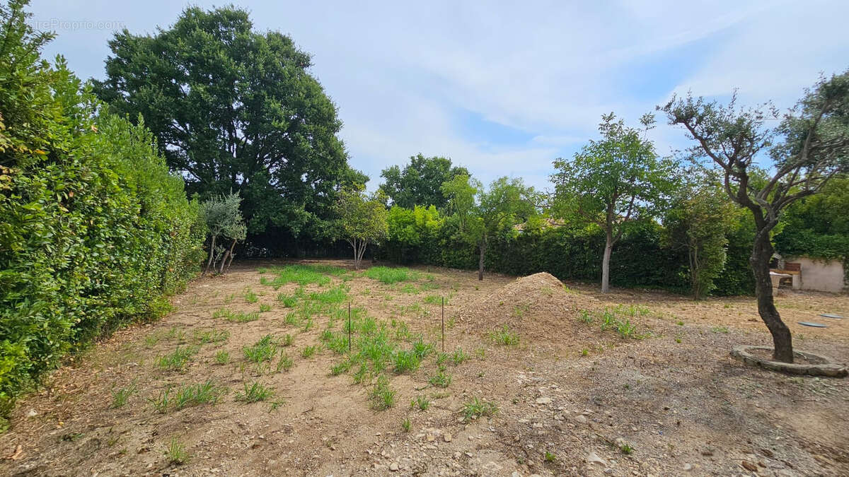 Terrain à CALVISSON