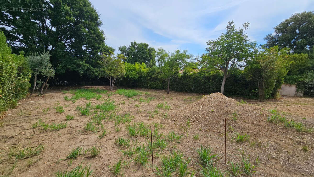 Terrain à CALVISSON