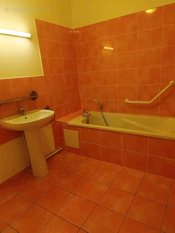 Appartement à VIERZON