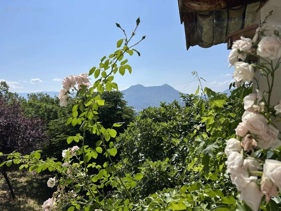 Maison à CHAMPTERCIER