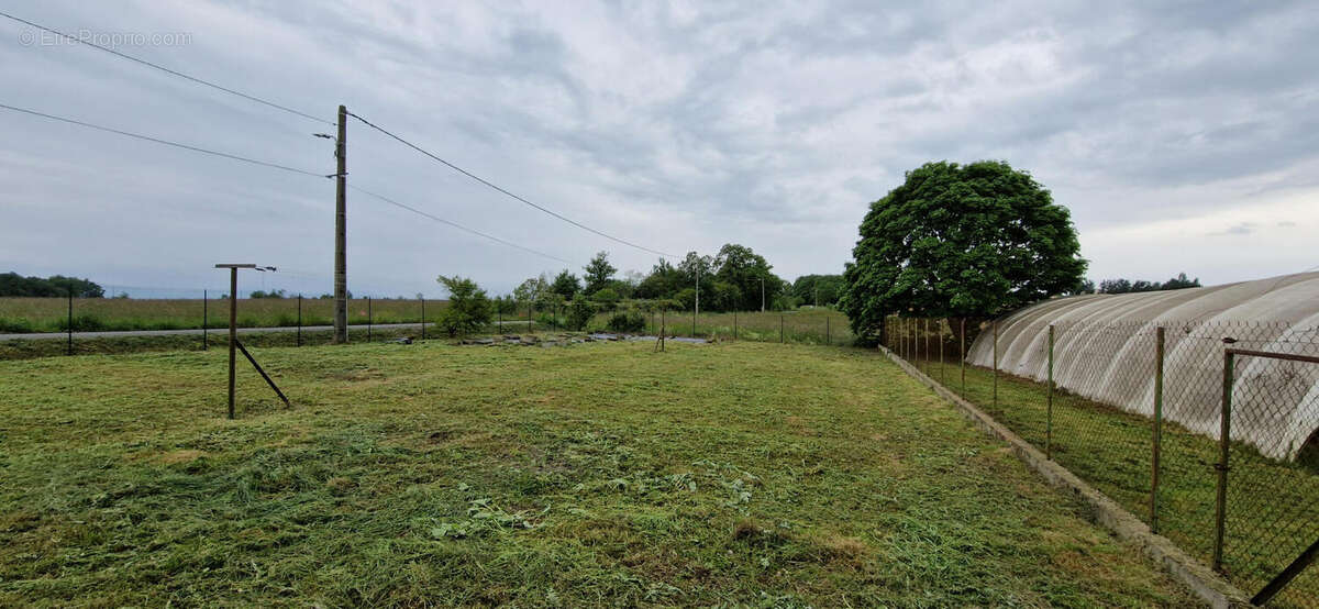 20230519_163708 - Maison à AURIGNAC