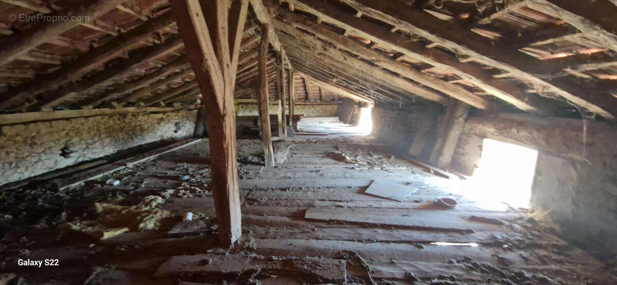 20250117_144954 - Maison à AURIGNAC