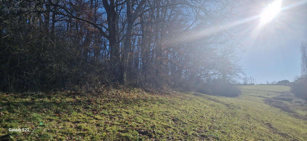 20250117_150245 - Maison à AURIGNAC