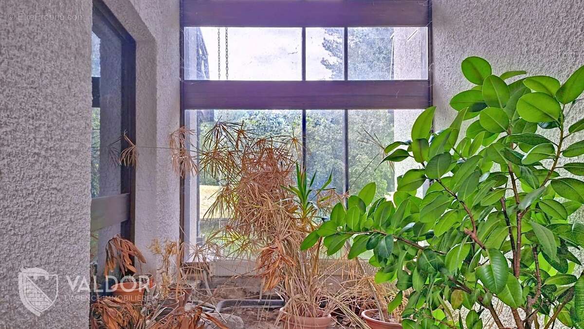 Maison à MONTMERLE-SUR-SAONE