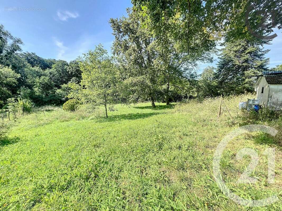 Terrain à VILLENEUVE-SAINT-SALVES