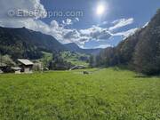 Terrain à ABONDANCE