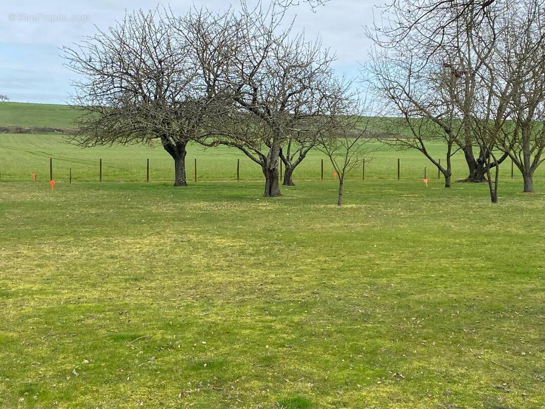 Terrain à MONTLOUIS-SUR-LOIRE