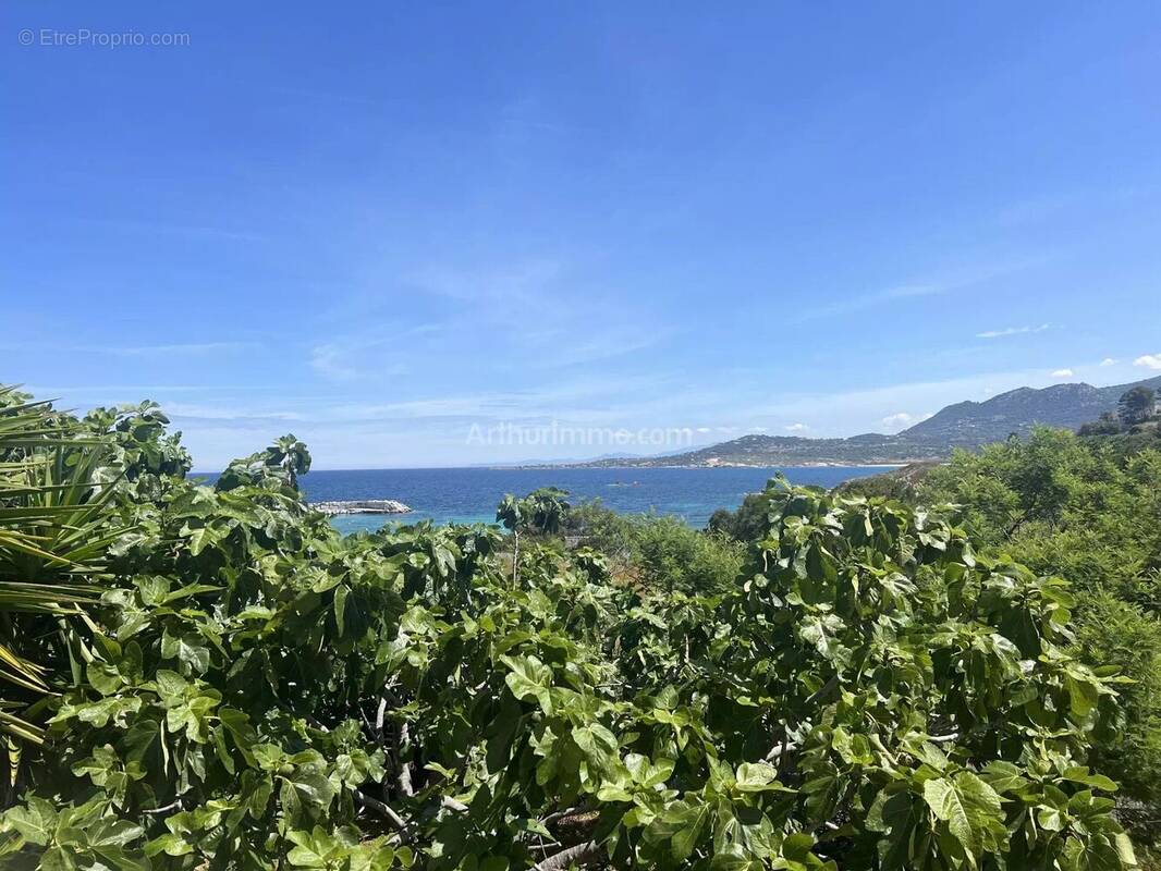 Appartement à ALGAJOLA