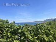 Appartement à ALGAJOLA