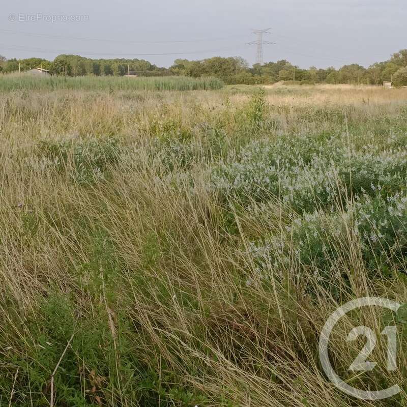 Terrain à SAINT-LOUBES