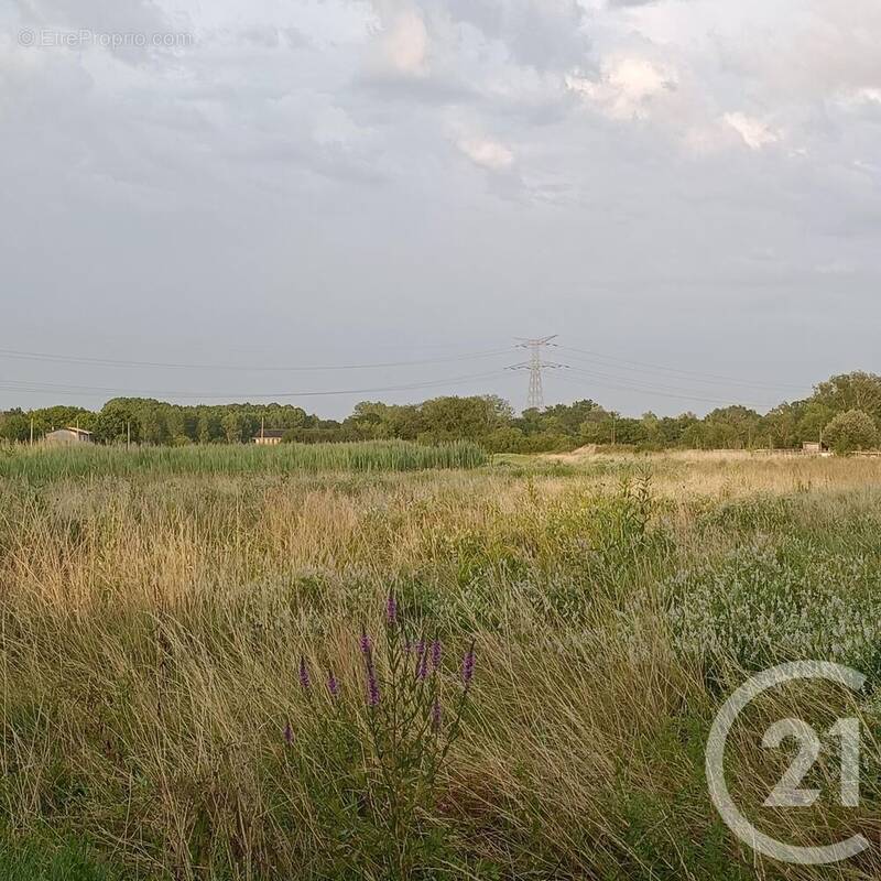 Terrain à SAINT-LOUBES