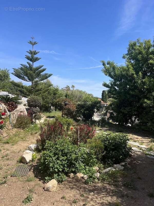 Appartement à ALGAJOLA