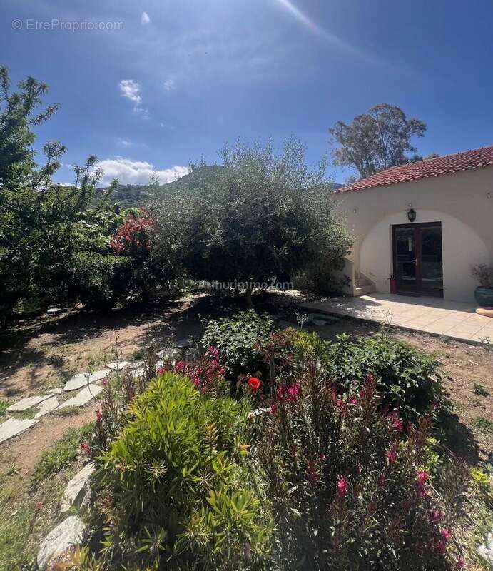 Appartement à ALGAJOLA