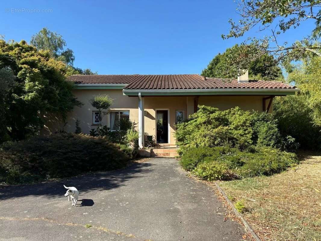 Maison à PLAISANCE-DU-TOUCH