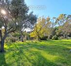 Terrain à SAINT-CYR-SUR-MER