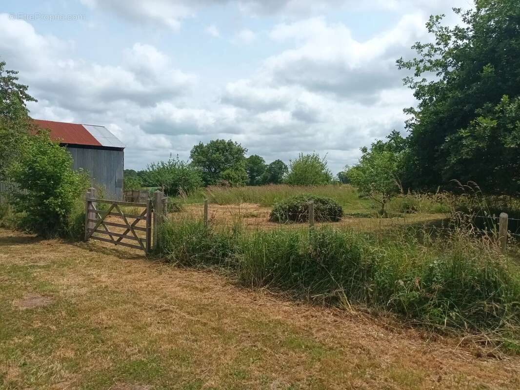 Maison à LES SALLES-LAVAUGUYON