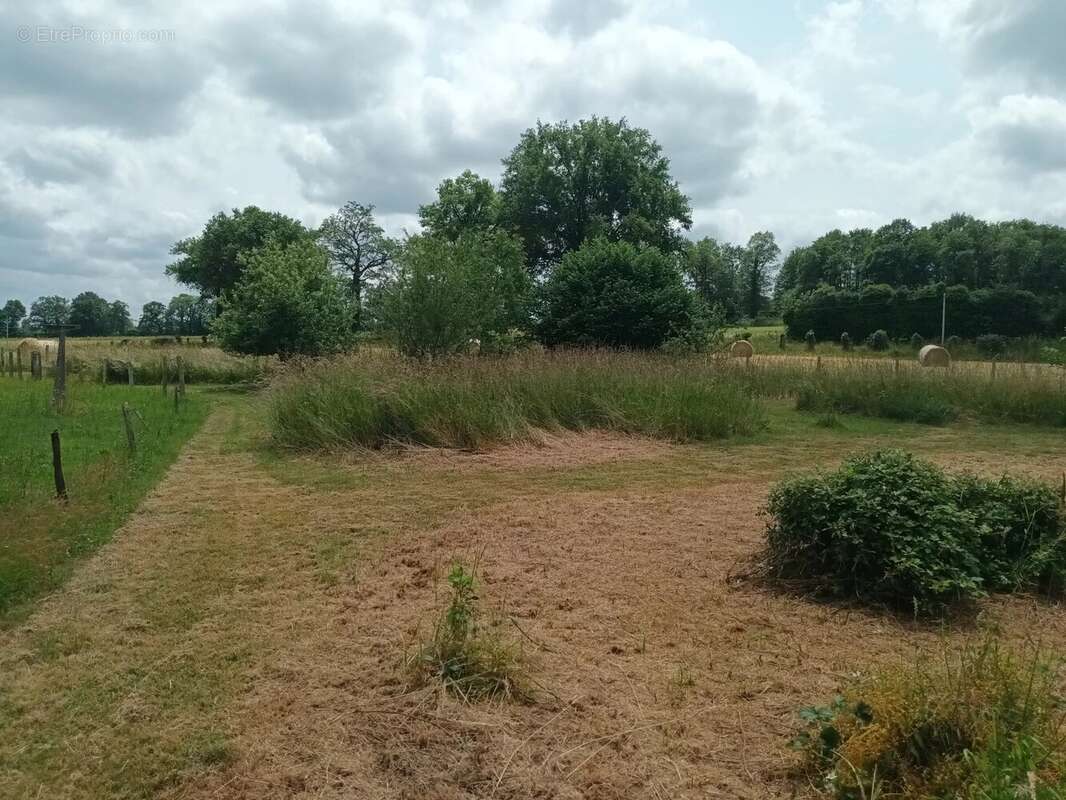 Maison à LES SALLES-LAVAUGUYON