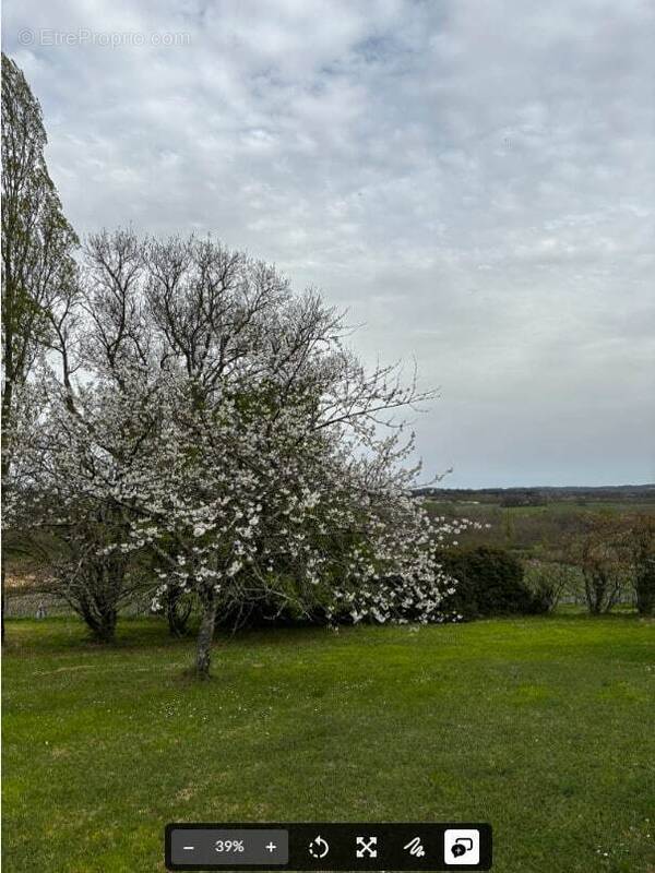 Terrain à PRATS-DE-CARLUX