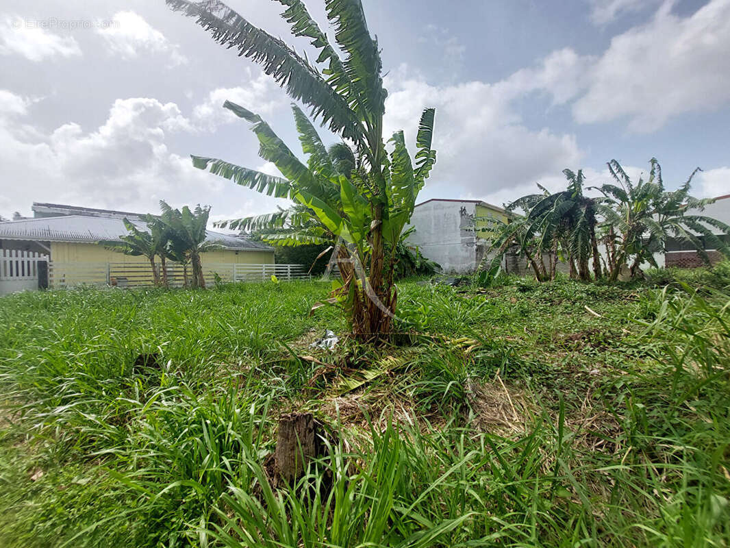 Terrain à FORT-DE-FRANCE