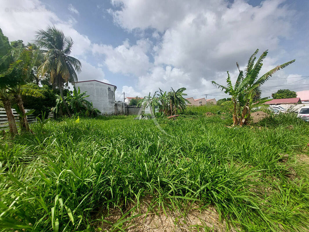 Terrain à FORT-DE-FRANCE