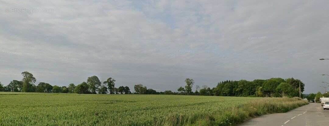 Terrain à TINTENIAC