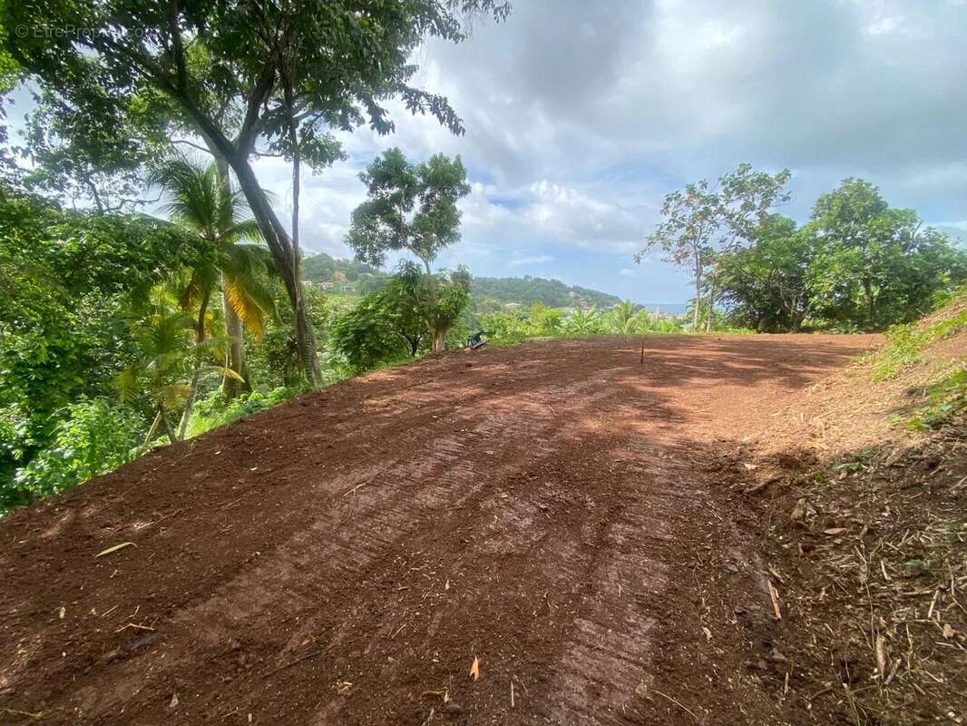 Terrain à LA TRINITE